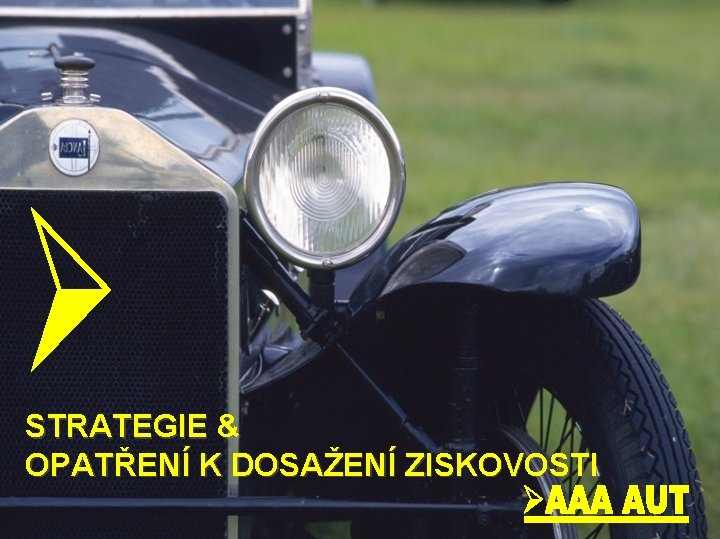 STRATEGIE & OPATŘENÍ K DOSAŽENÍ ZISKOVOSTI 