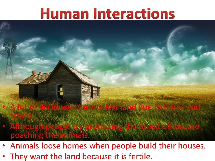 Human Interactions • A lot of deciduous forests lost land due to farms and