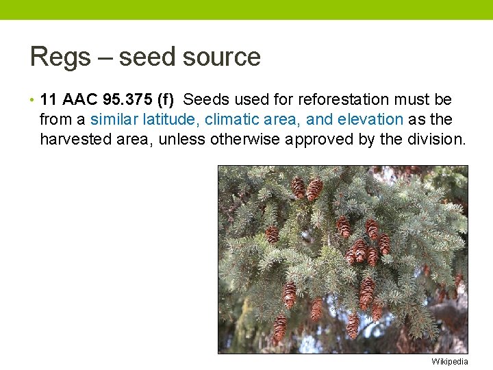 Regs – seed source • 11 AAC 95. 375 (f) Seeds used for reforestation