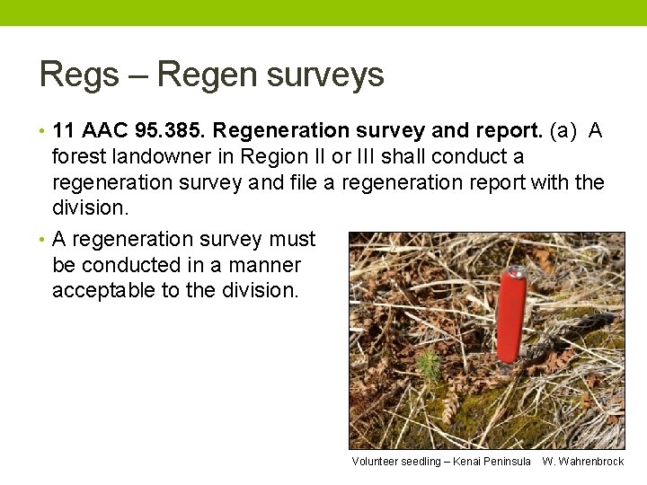 Regs – Regen surveys • 11 AAC 95. 385. Regeneration survey and report. (a)