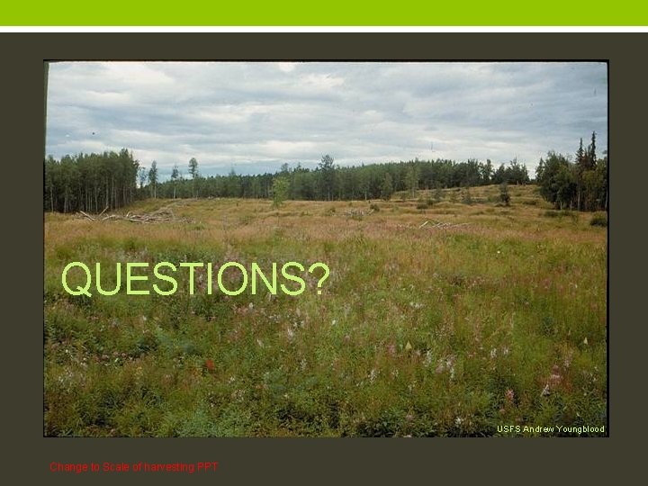 QUESTIONS? USFS Andrew Youngblood Change to Scale of harvesting PPT 