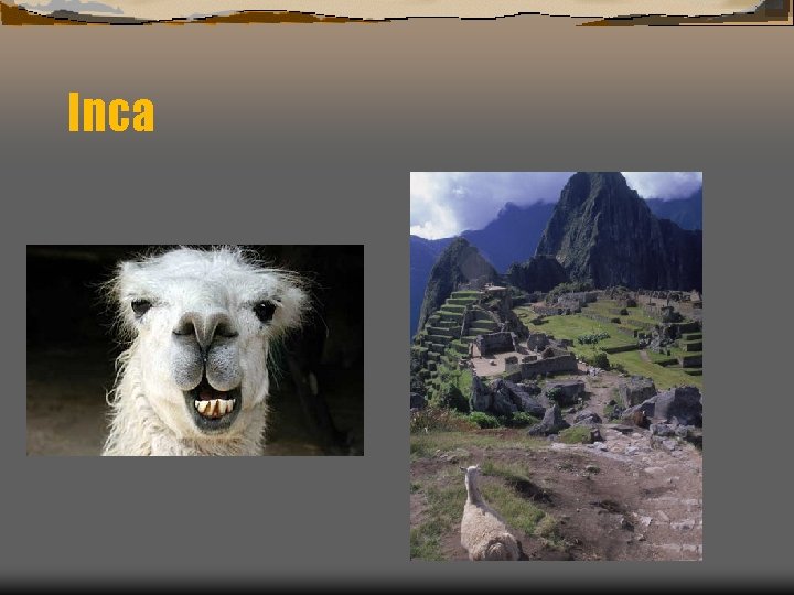 Inca 