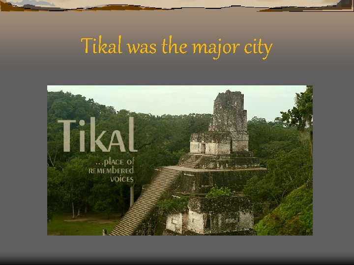 Tikal was the major city 