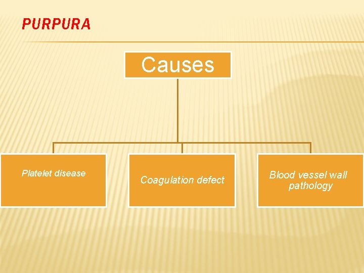 PURPURA Causes Platelet disease Coagulation defect Blood vessel wall pathology 