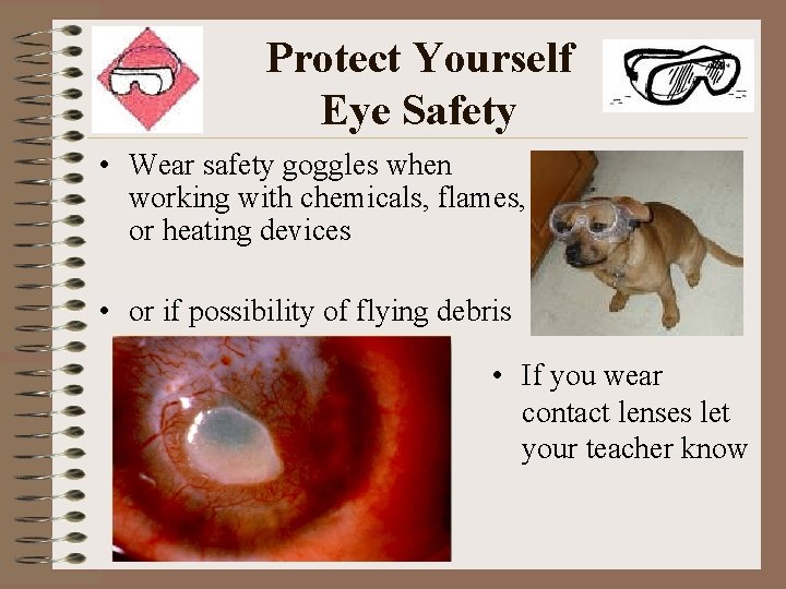 Protect Yourself Eye Safety • Wear safety goggles when working with chemicals, flames, or