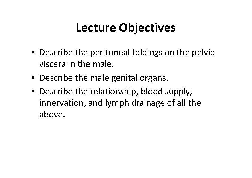 Lecture Objectives • Describe the peritoneal foldings on the pelvic viscera in the male.