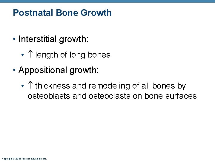 Postnatal Bone Growth • Interstitial growth: • length of long bones • Appositional growth: