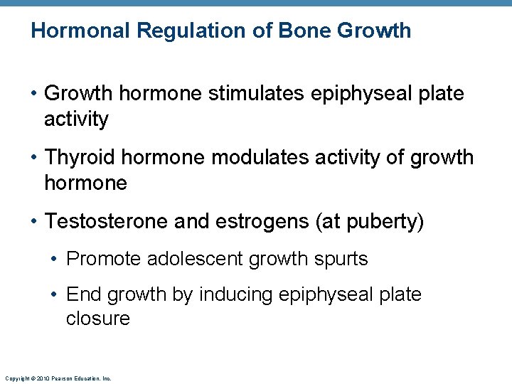 Hormonal Regulation of Bone Growth • Growth hormone stimulates epiphyseal plate activity • Thyroid Hormonal Regulation of Bone Growth • Growth hormone stimulates epiphyseal plate activity • Thyroid