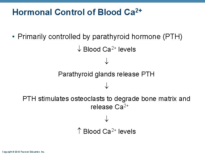 Hormonal Control of Blood Ca 2+ • Primarily controlled by parathyroid hormone (PTH) Blood Hormonal Control of Blood Ca 2+ • Primarily controlled by parathyroid hormone (PTH) Blood