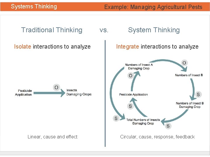 Systems Thinking Traditional Thinking Example: Managing Agricultural Pests vs. System Thinking Isolate interactions to