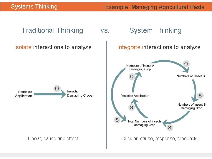 Systems Thinking Traditional Thinking Example: Managing Agricultural Pests vs. System Thinking Isolate interactions to