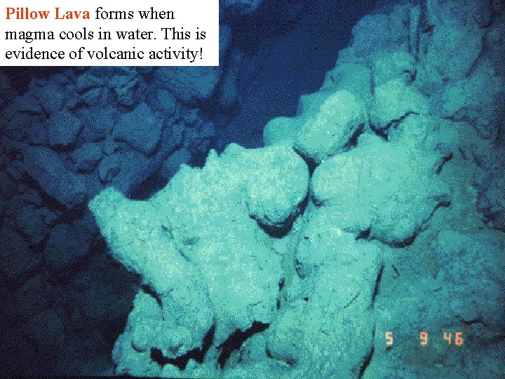 Pillow Lava forms when magma cools in water. This is evidence of volcanic activity!