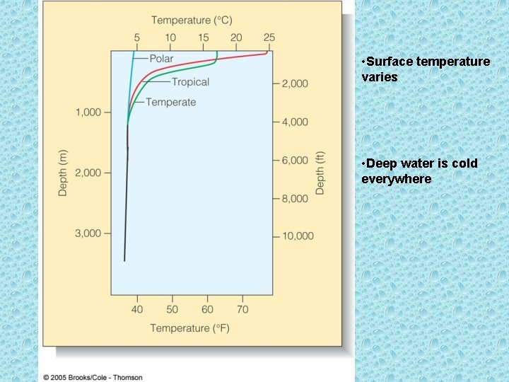 • Surface temperature varies • Deep water is cold everywhere   • Surface temperature varies • Deep water is cold everywhere