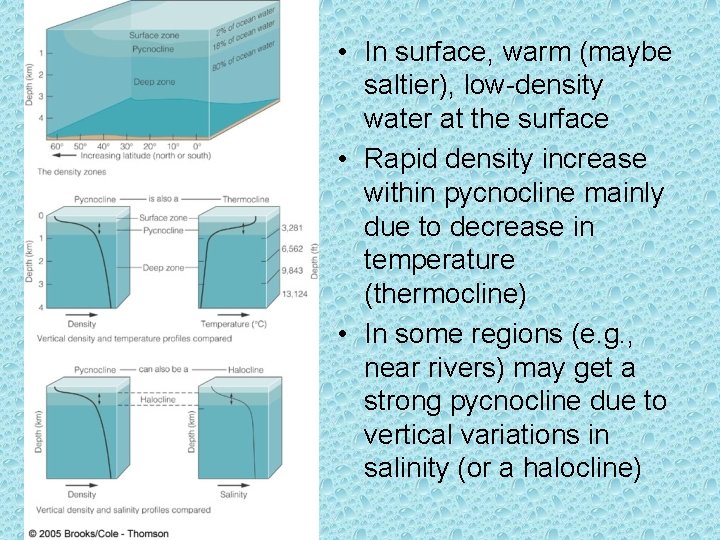 • In surface, warm (maybe saltier), low-density water at the surface • Rapid  • In surface, warm (maybe saltier), low-density water at the surface • Rapid