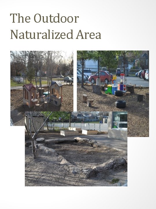 The Outdoor Naturalized Area 