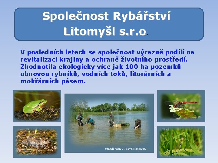 Společnost Rybářství Litomyšl s. r. o V posledních letech se společnost výrazně podílí na