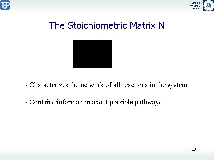 Humboldt. Universität zu Berlin The Stoichiometric Matrix N - Characterizes the network of all