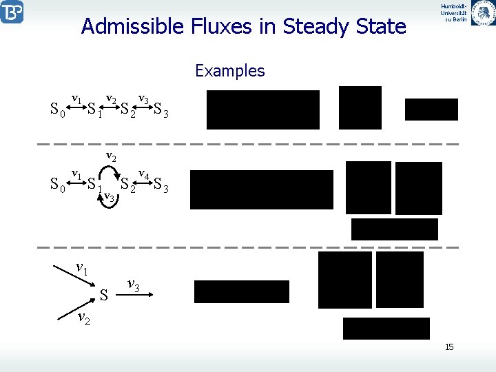 Admissible Fluxes in Steady State Humboldt. Universität zu Berlin Examples S 0 v 1