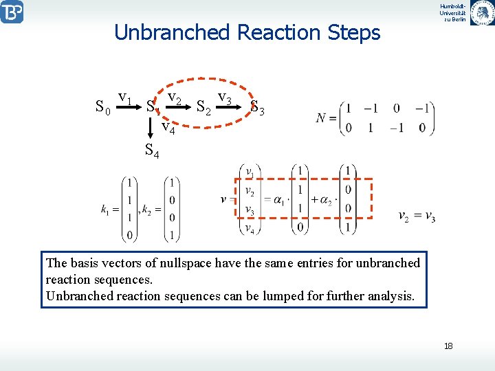 Unbranched Reaction Steps S 0 v 1 S 1 v 2 v 4 S