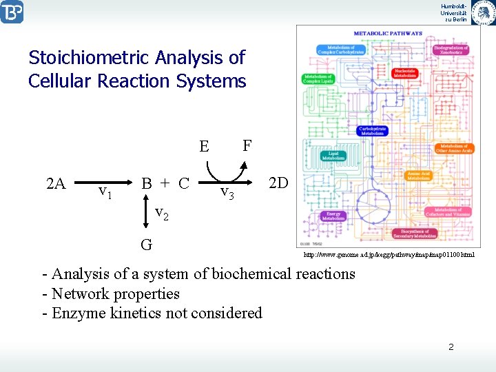 Humboldt. Universität zu Berlin Stoichiometric Analysis of Cellular Reaction Systems F E 2 A