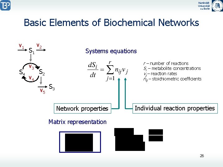 Humboldt. Universität zu Berlin Basic Elements of Biochemical Networks v 1 S 4 S