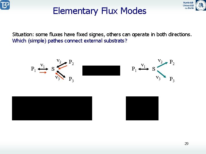 Humboldt. Universität zu Berlin Elementary Flux Modes Situation: some fluxes have fixed signes, others