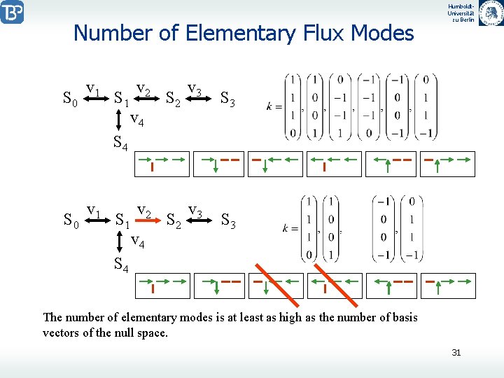 Number of Elementary Flux Modes S 0 v 1 S 1 v 2 v