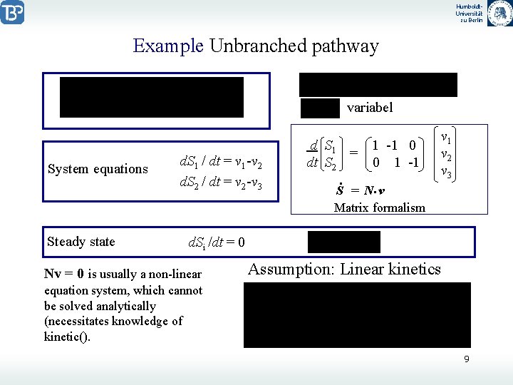 Humboldt. Universität zu Berlin Example Unbranched pathway variabel System equations Steady state d. S