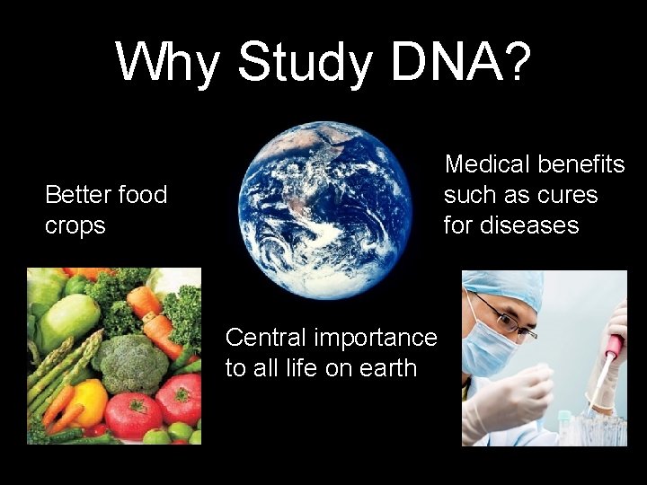 Why Study DNA? Medical benefits such as cures for diseases Better food crops Central