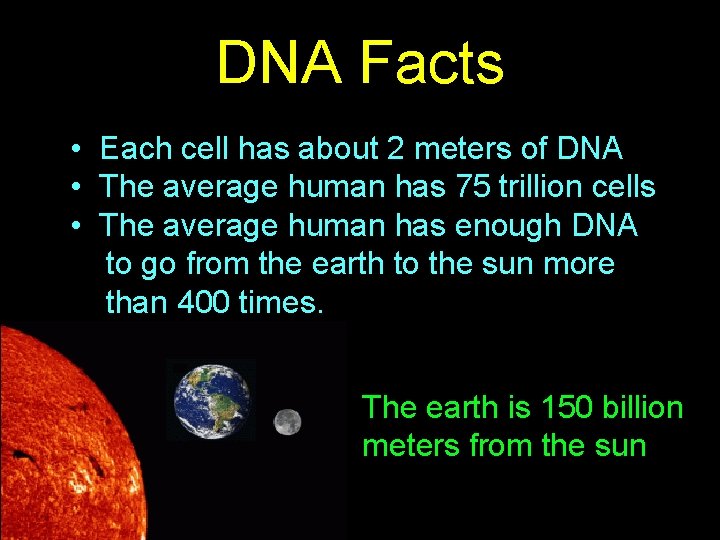 DNA Facts • Each cell has about 2 meters of DNA • The average