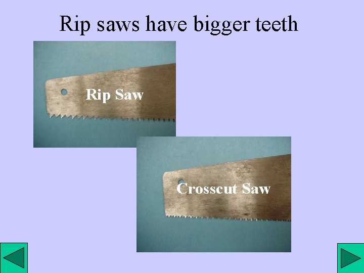 Rip saws have bigger teeth Rip Saw Crosscut Saw 