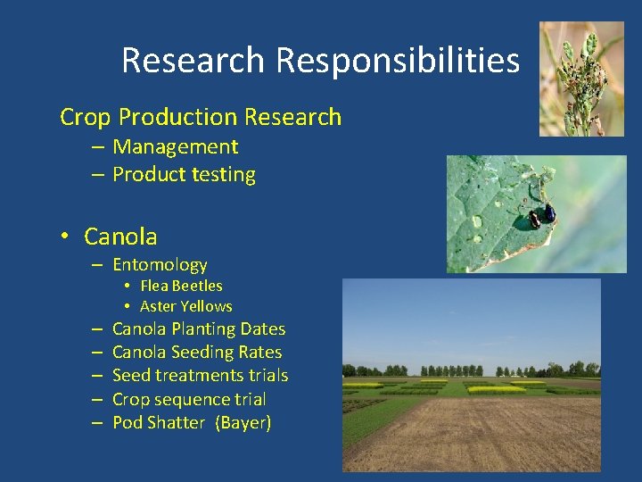 Research Responsibilities Crop Production Research – Management – Product testing • Canola – Entomology