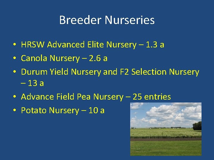 Breeder Nurseries • HRSW Advanced Elite Nursery – 1. 3 a • Canola Nursery