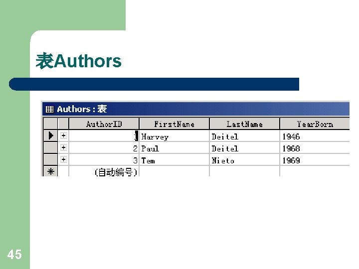 表Authors 45 