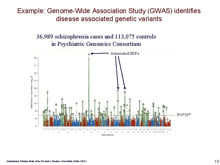 Example: Genome-Wide Association Study (GWAS) identifies disease associated genetic variants 36, 989 schizophrenia cases