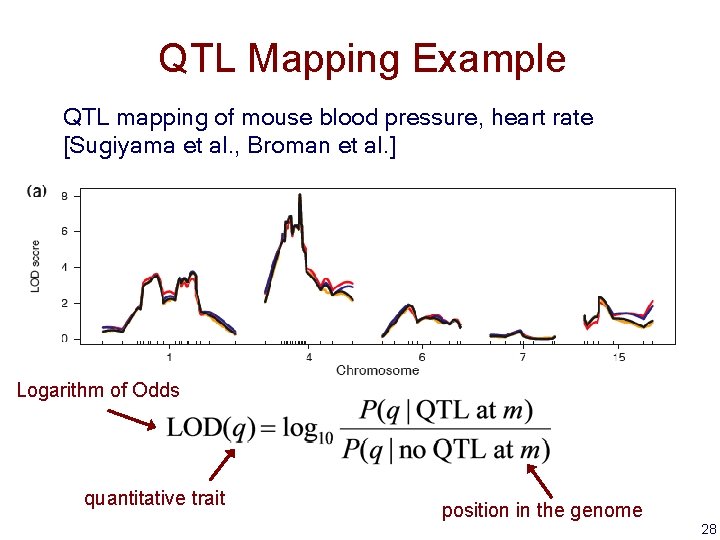 QTL Mapping Example QTL mapping of mouse blood pressure, heart rate [Sugiyama et al.