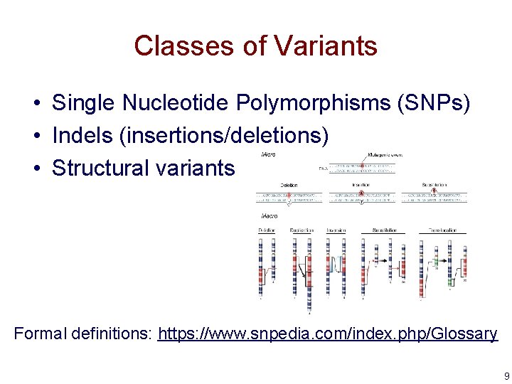 Classes of Variants • Single Nucleotide Polymorphisms (SNPs) • Indels (insertions/deletions) • Structural variants