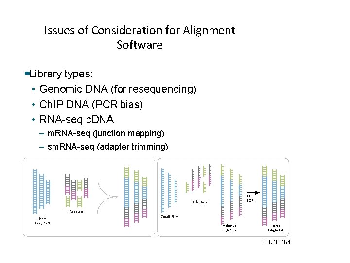 Issues of Consideration for Alignment Software Library types: • Genomic DNA (for resequencing) • Issues of Consideration for Alignment Software Library types: • Genomic DNA (for resequencing) •