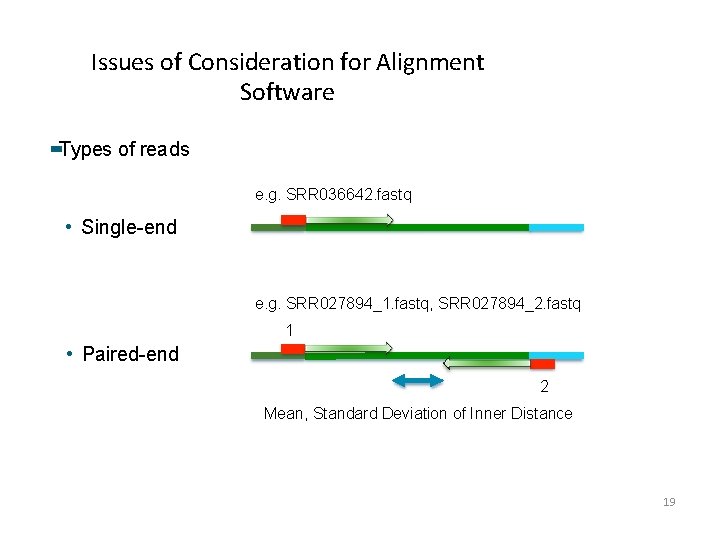 Issues of Consideration for Alignment Software Types of reads e. g. SRR 036642. fastq Issues of Consideration for Alignment Software Types of reads e. g. SRR 036642. fastq