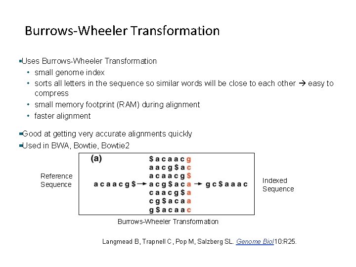 Burrows-Wheeler Transformation Uses Burrows-Wheeler Transformation • small genome index • sorts all letters in Burrows-Wheeler Transformation Uses Burrows-Wheeler Transformation • small genome index • sorts all letters in