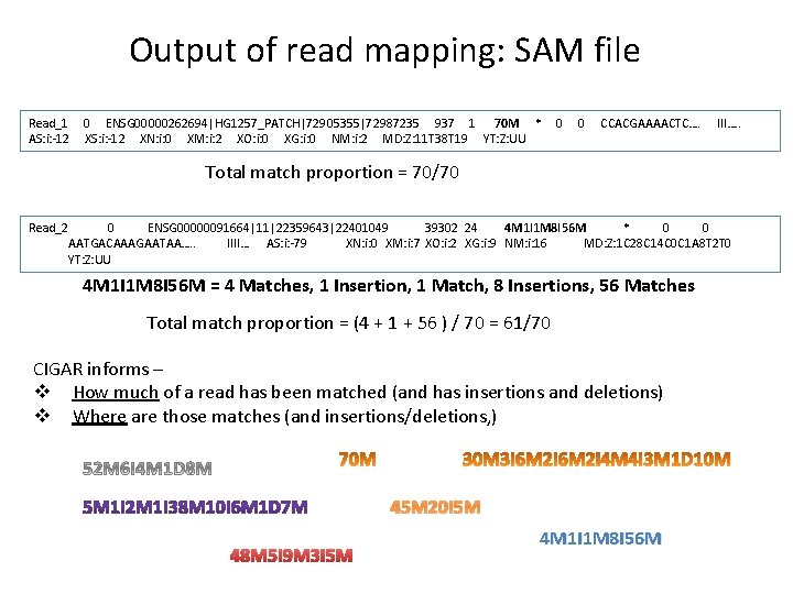 Output of read mapping: SAM file Read_1 AS: i: -12 0 ENSG 00000262694|HG 1257_PATCH|72905355|72987235 Output of read mapping: SAM file Read_1 AS: i: -12 0 ENSG 00000262694|HG 1257_PATCH|72905355|72987235
