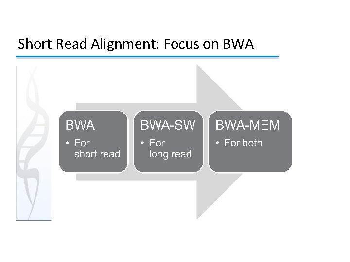 Short Read Alignment: Focus on BWA 3 4 Short Read Alignment: Focus on BWA 3 4
