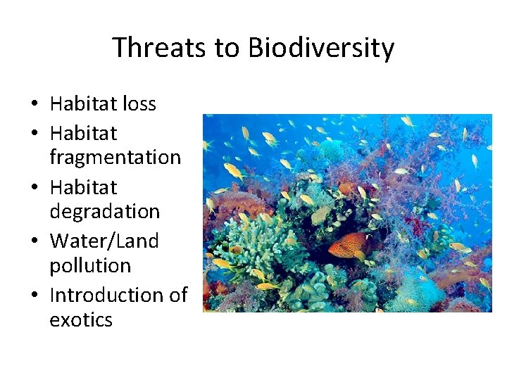 Threats to Biodiversity • Habitat loss • Habitat fragmentation • Habitat degradation • Water/Land