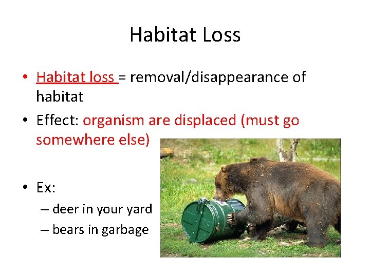 Habitat Loss • Habitat loss = removal/disappearance of habitat • Effect: organism are displaced