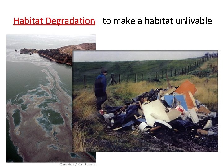 Habitat Degradation= to make a habitat unlivable 