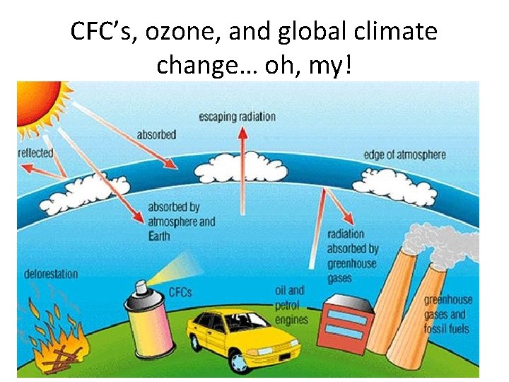 CFC’s, ozone, and global climate change… oh, my! 