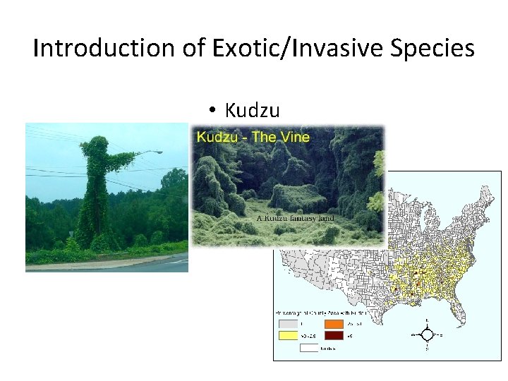 Introduction of Exotic/Invasive Species • Kudzu 