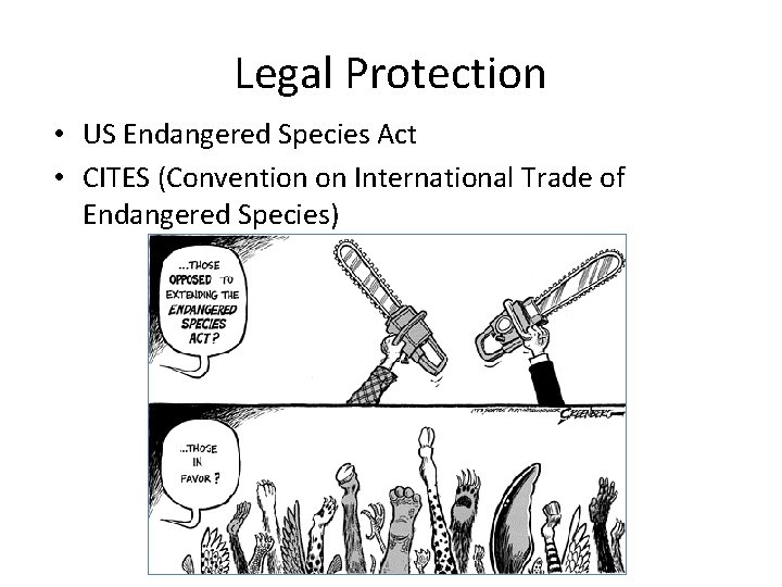 Legal Protection • US Endangered Species Act • CITES (Convention on International Trade of