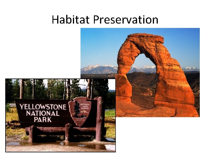 Habitat Preservation 