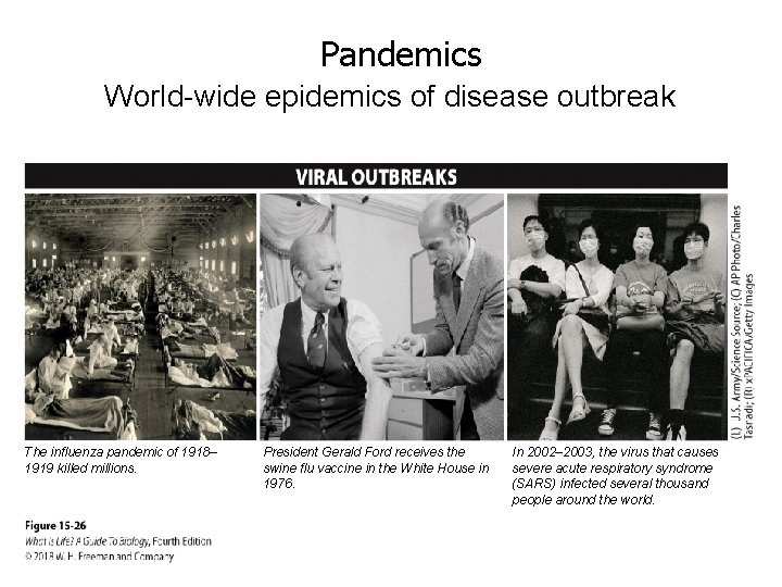 Pandemics World-wide epidemics of disease outbreak The influenza pandemic of 1918– 1919 killed millions.